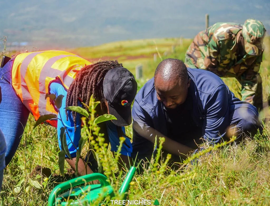 Tree Niches restoration team planting indigenous trees in a degraded forest landscape in Kenya