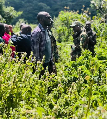 Tree Niches team profiling a forest site in Ngong Hills before planting trees