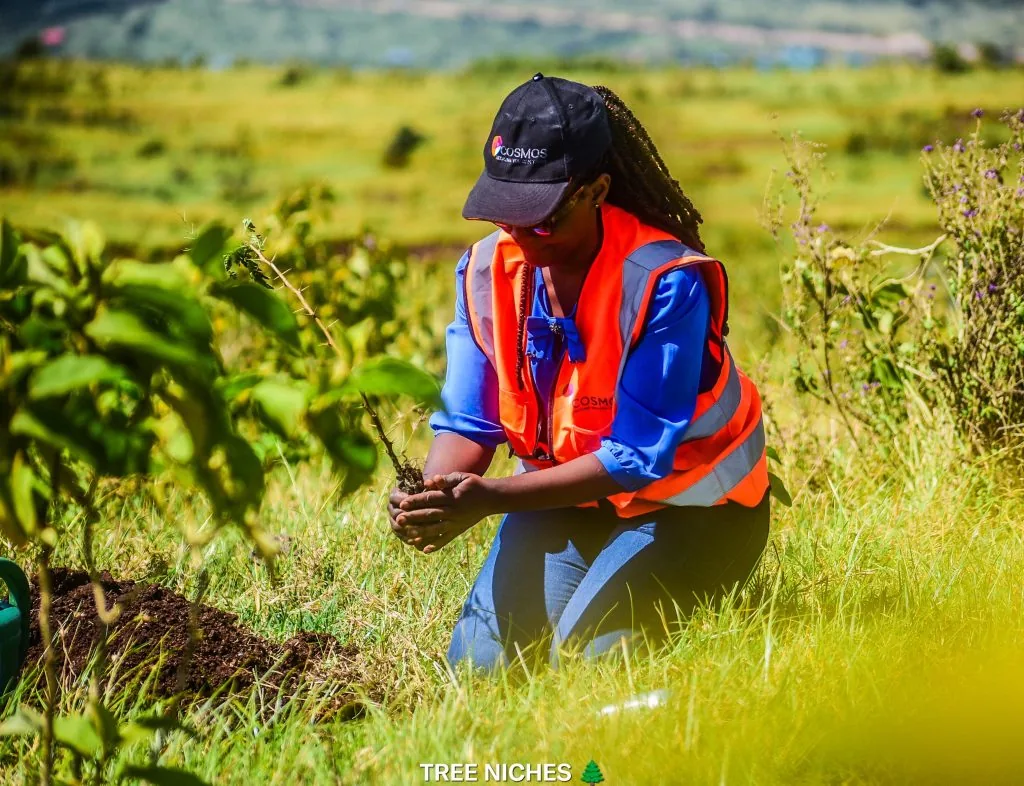 Farmer planting an agroforestry tree seedling on farmland in Kenya