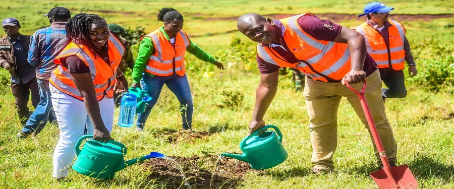 The Tree Niches team planting trees together in Kenya