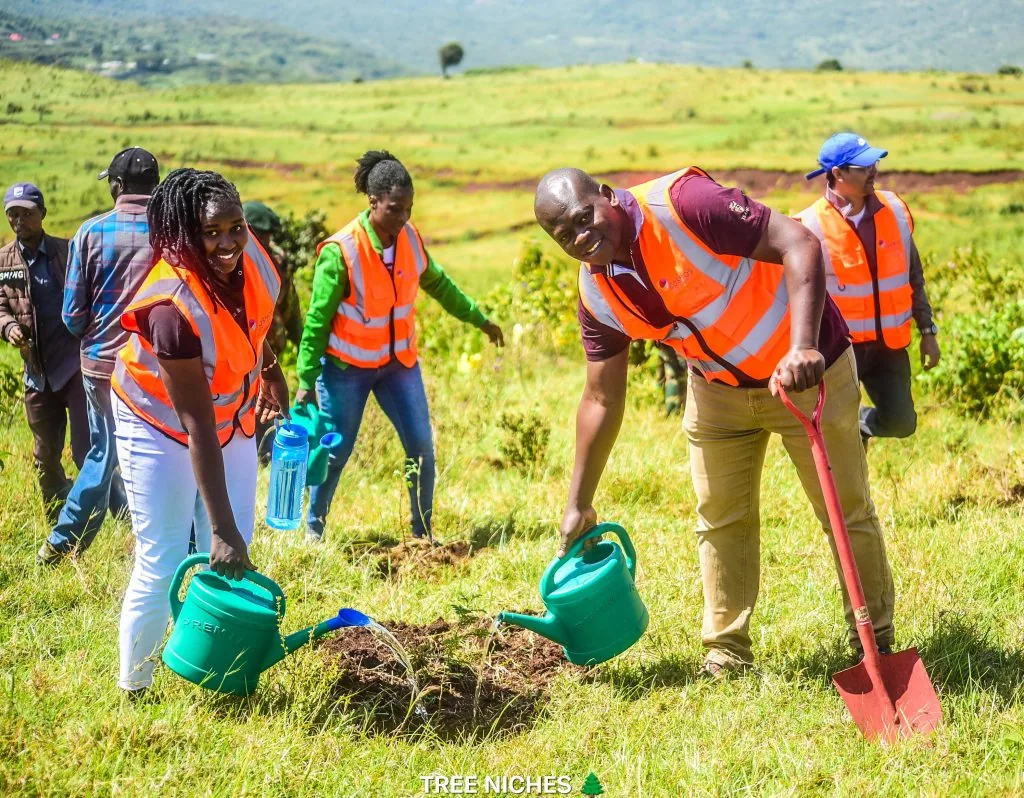 Tree Niches volunteers planting indigenous tree seedlings in Ngong Hills Forest, Kenya
